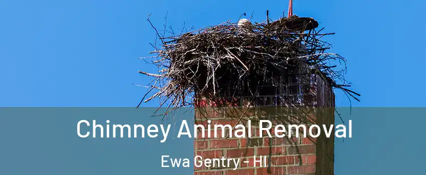 Chimney Animal Removal Ewa Gentry - HI