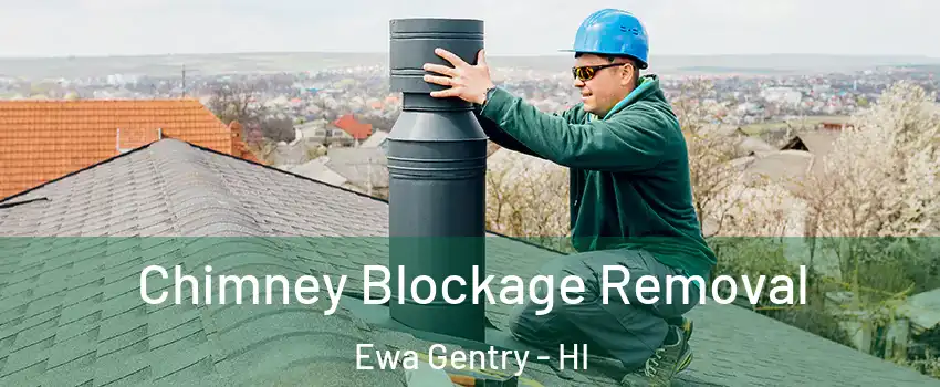  Chimney Blockage Removal Ewa Gentry - HI
