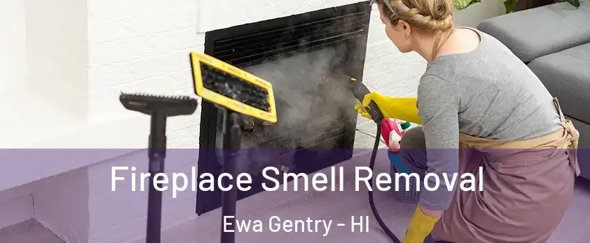  Fireplace Smell Removal Ewa Gentry - HI