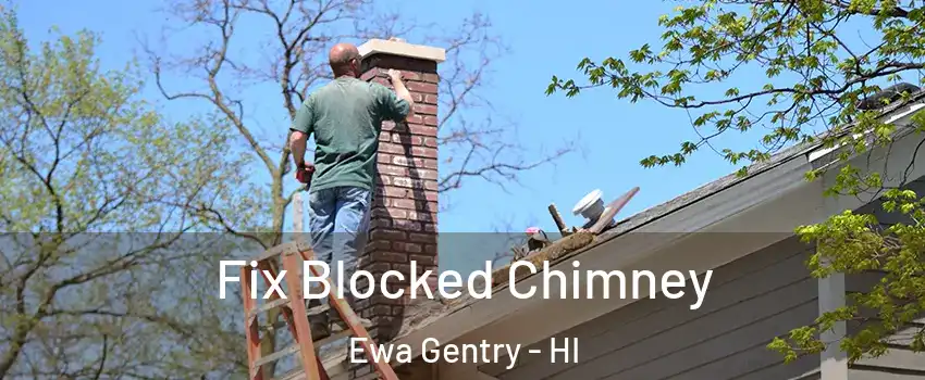 Fix Blocked Chimney Ewa Gentry - HI