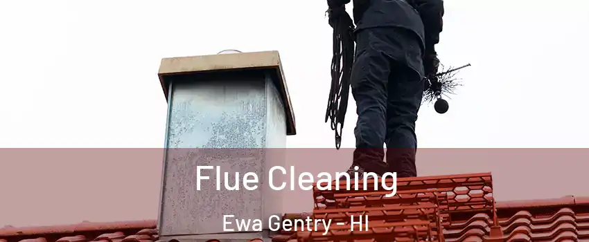  Flue Cleaning Ewa Gentry - HI