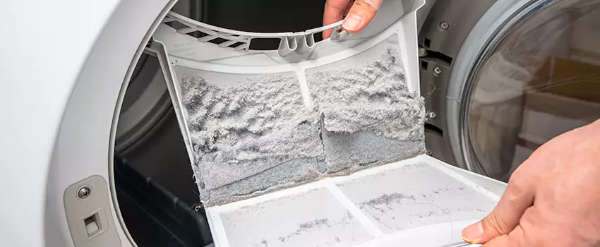 Best Dryer Lint Removal Company in Ewa Gentry, Hawaii
