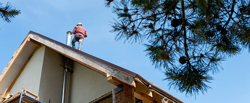 Birds Removal Contractors from Chimney in Ewa Gentry, HI